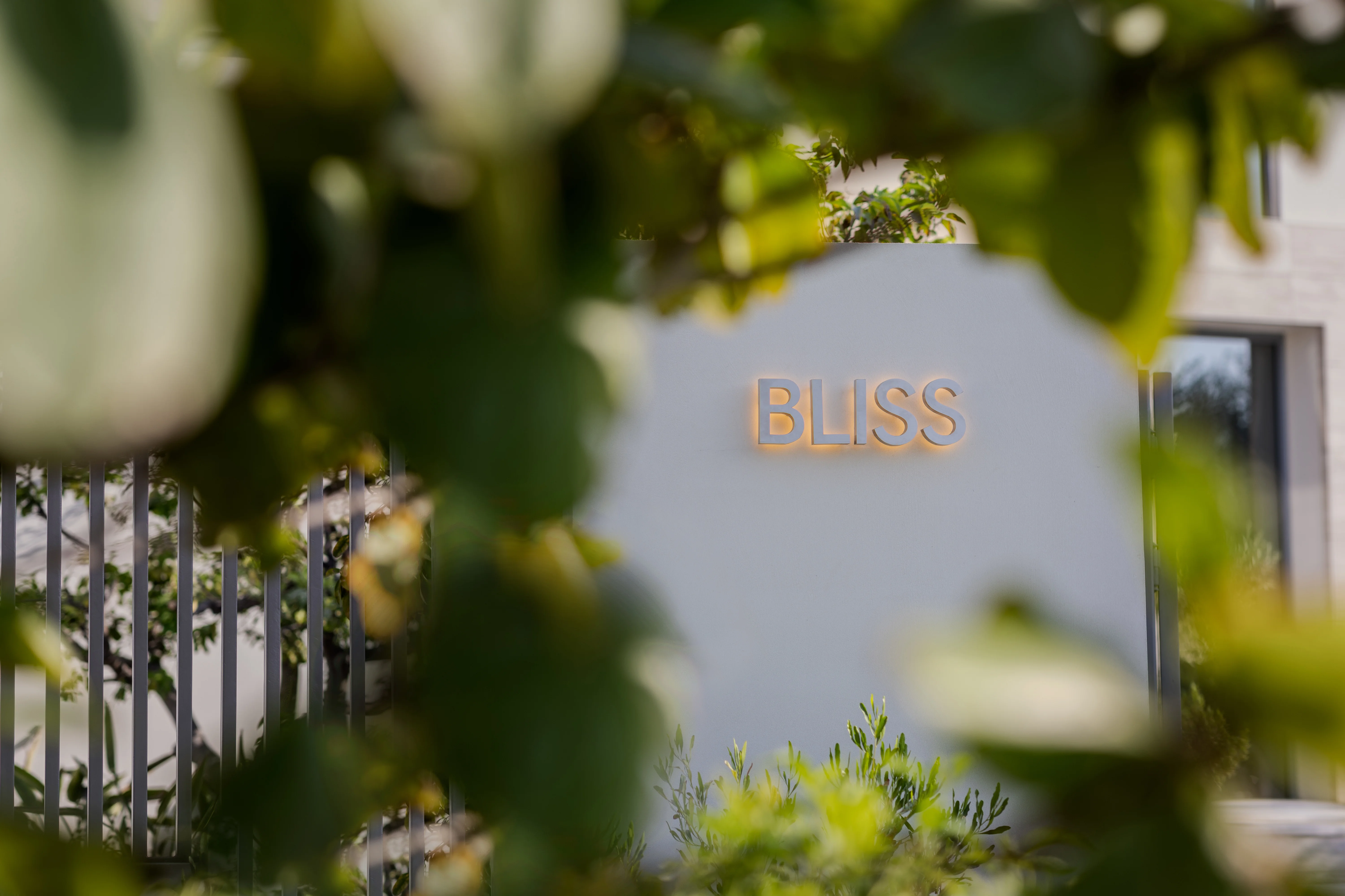 Bliss — gallery image 7