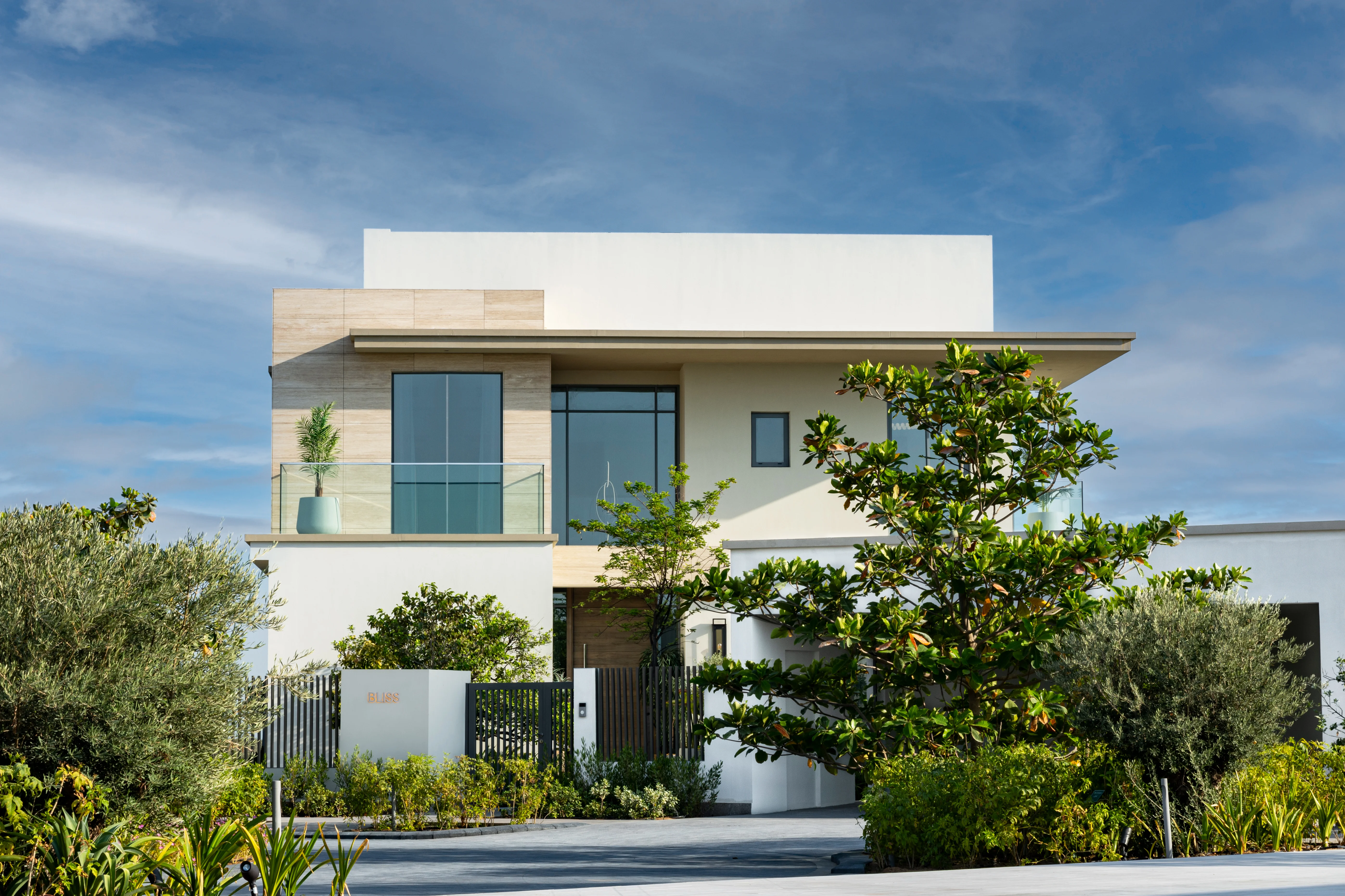 Bliss — gallery image 8